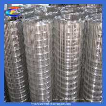 Stainless Steel Welded Wire Mesh for Construction